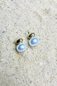 Freshwater Pearl Studs
