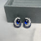 Dusk Earrings