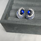 Dusk Earrings